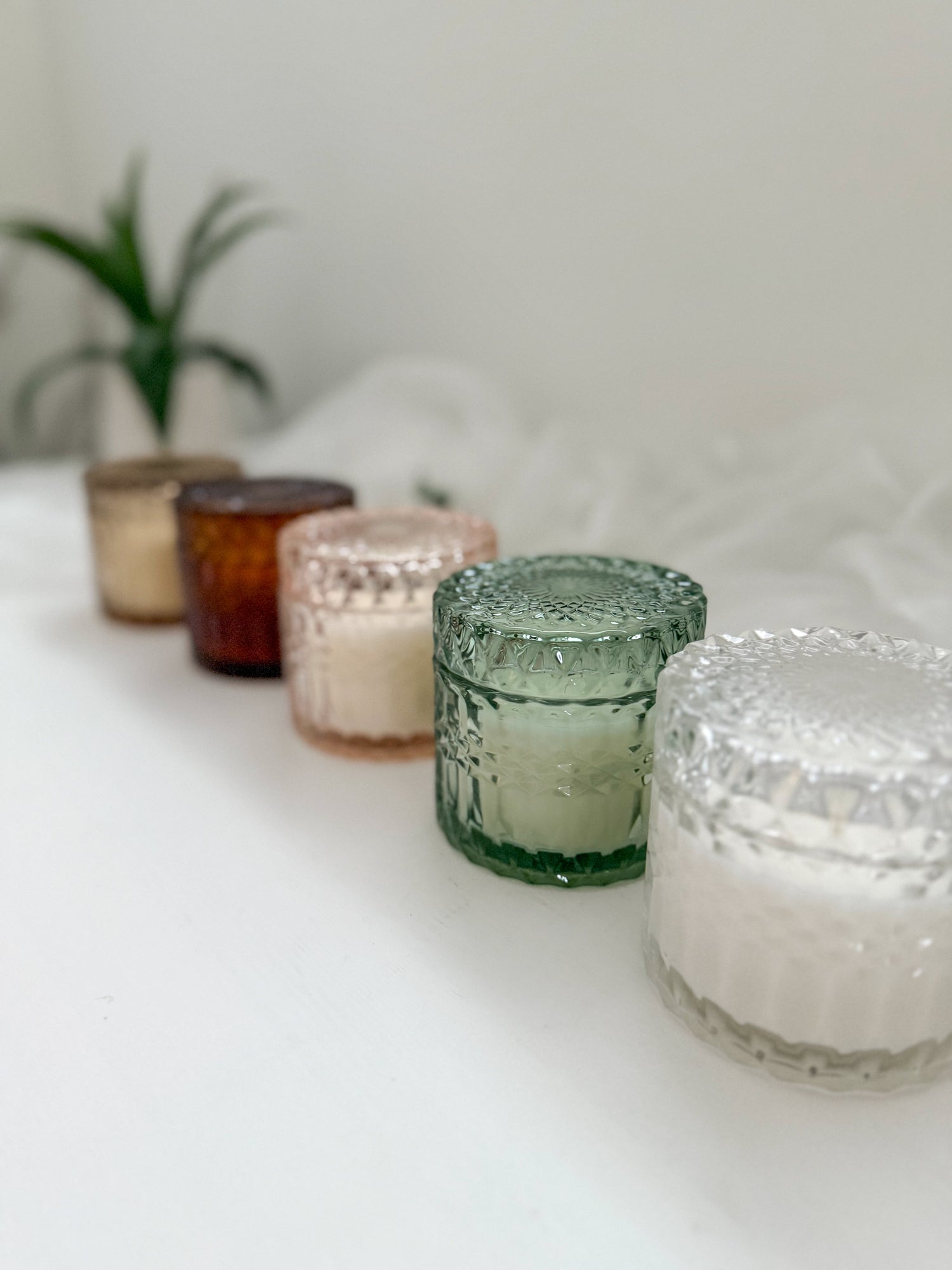 Luxe Glow Collection